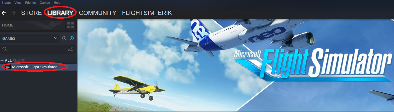 Steam_Library.PNG